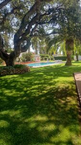 Villa independiente en Calahonda